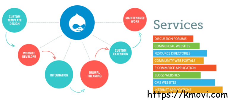 Service Provider Web Development Company