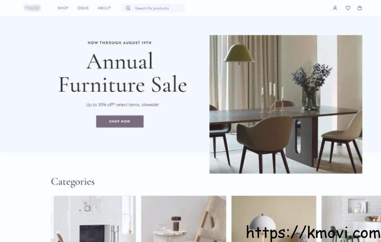 Website Development Company for Sale